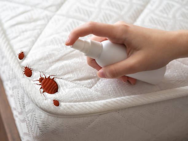 Best Cockroach Control Services  in Johnston City, IL