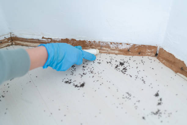 Best Commercial Pest Control Services  in Johnston City, IL